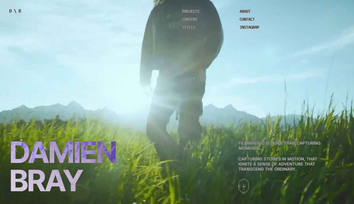 Screenshot of the Damien Bray website, a selected web project